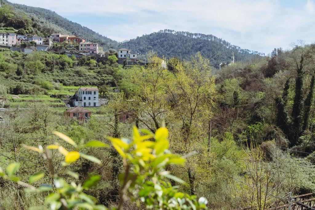 Residenza Nemus Mare E Montagna Apartment Graveglia ภายนอก รูปภาพ